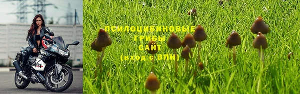 гидропоника Ельня