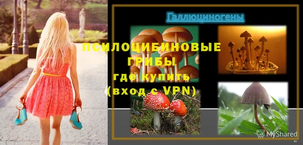 гидропоника Ельня