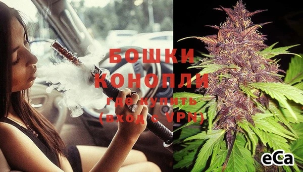 гидропоника Ельня
