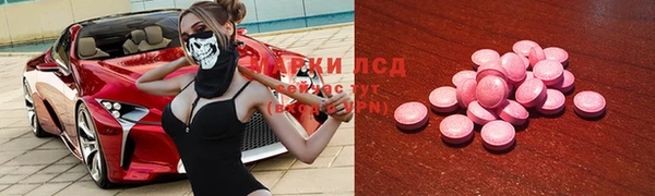 гидропоника Ельня