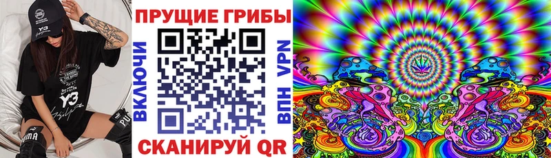 Псилоцибиновые грибы мухоморы  Купить  Злынка 